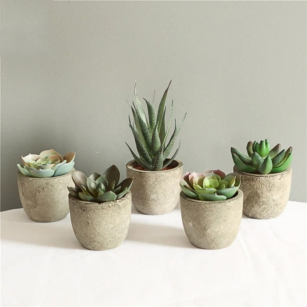 Verdea Artificial Succulent Plant Decor